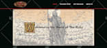 create stunning custom website design in wordpress