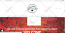 design professional drop shipping shopify online store