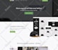 build automated shopify dropshipping store or shopify website