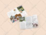 design professional trifold brochure