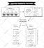 draw any custom black and white hand drawn line art illustration