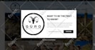 create wordpress elementor popup form, newsletter subscribe or fix contact form