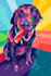 draw your pet into wpap style