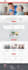 create professional wordpress website design and development