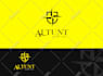 do creative modern and highly business logo design