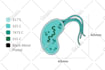design a custom enamel pin for you