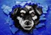 create graffiti pop art canvas designs and murals