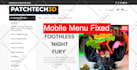 fix wordpress bugs, errors, issues