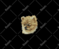 convert your pet picture or any image into embroidery file