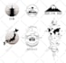 create custom graphic minimalist t shirt design