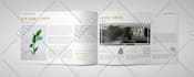 design a brochure, flyer, poster, banner, pamphlet for you