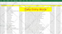 do data entry excel, copy paste and web search