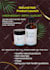 design a3, a4, a5, a6 sizes  travel flyer or poster