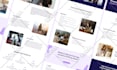 design a professional website UX UI for your company
