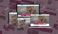 design responsive landing page or wordpress website using elementor pro