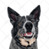 draw your cat, dog, or any pet into cartoon vector portrait