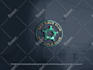 design crypto coin, token, nft, cryptocurrency, technology, gaming, esports logo