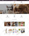 create wordpress woocommerce aliexpress alidropship dropshipping store