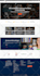 build a professional responsive wordpress website