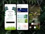 do ai mobile app development, ai app developer flutter react native app creation
