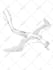 create custom hand drawn creature or hybrid designs and concept art