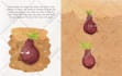 draw childrens book illustration