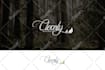 design a professional and modern minimalist logo for you