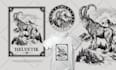 do custom professional hand drawn vintage logo