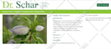 transfer, migrate wordpress blogs