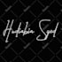 do professional signature logo design
