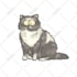 draw a unique and cute pet cat illustration
