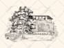 turn your photo into vintage line art illustration