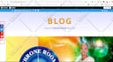 install divi, extra themes and bloom, monarch plugins
