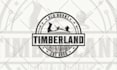design retro vintage logo