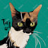 draw a pet portrait within 24h