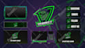 create a professional twitch overlay stream package