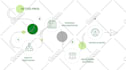 design scientific illustrations, publication image, graphical abstract