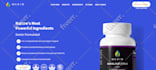 create a shopify dropshipping store