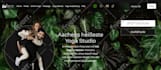 do web design, development and programming