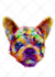animal color abstract art