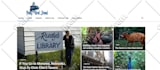 design a professional small business wordpress website