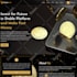 develop investment website or banking website within 24 hours