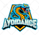design a custom sports logo and brand identity