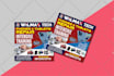 design an awesome flyer or one pager