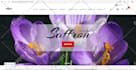 create shopify store website design