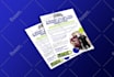 design any bifold, trifold brochure, flyer, poster, leaflet
