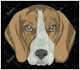 professional embroidery digitizing and vector art service