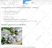 do data entry, data cleaning, web research, virtual assistant task