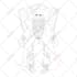 design and rigging anime art style live2d vtuber model for streaming