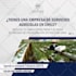 design social media post instagram post facebook post